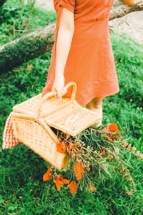 Back view of crop anonymous female in red dress standing near tree trunk with wicker basket of blooming flowers and grass in countryside