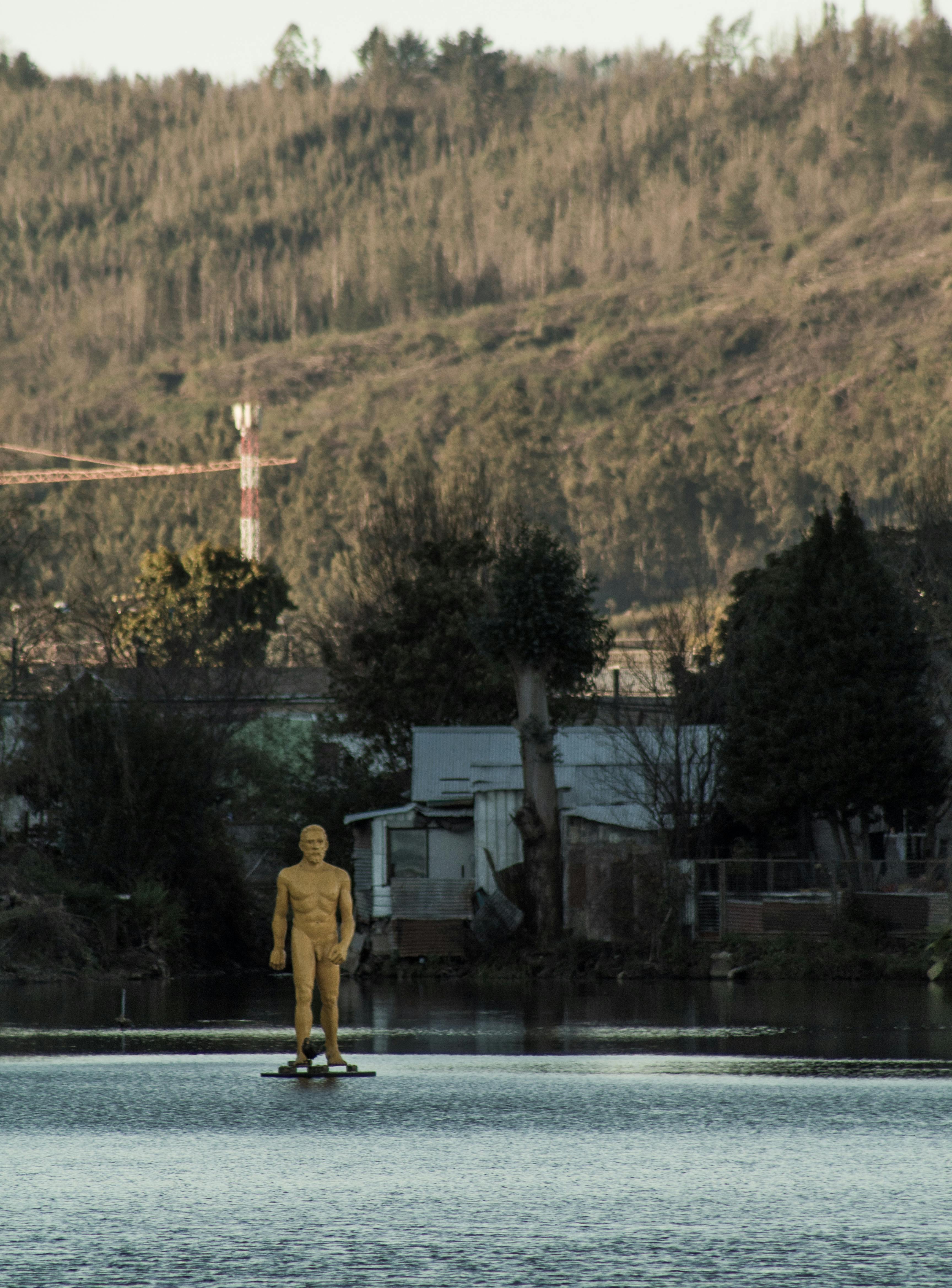 Back  yard Pond Installation