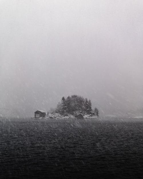 下雪, 下雪的, 下雪的天氣 的 免费素材图片