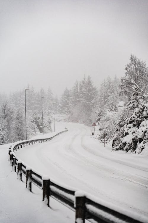 Základová fotografie zdarma na téma bílá, bouře, černobílý