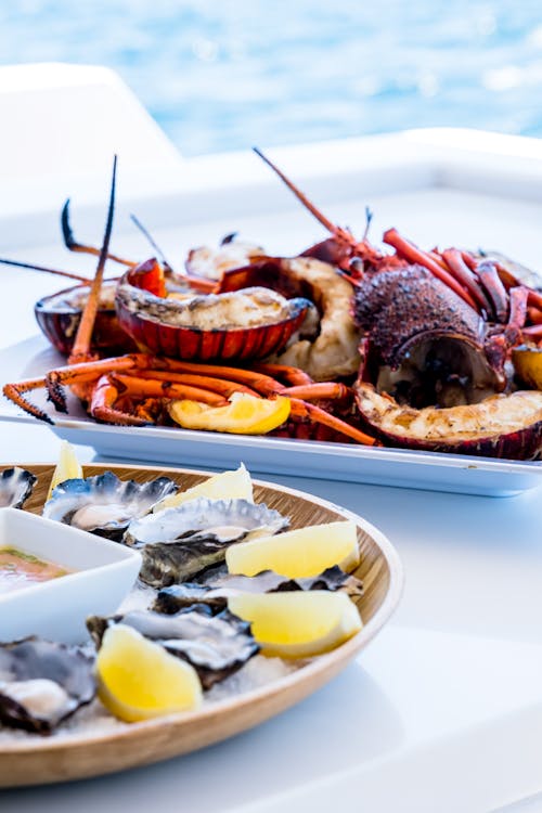 Free Close-up Photo of Seafoods Stock Photo