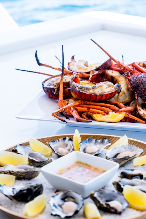 Oysters and Lobsters on White Surface