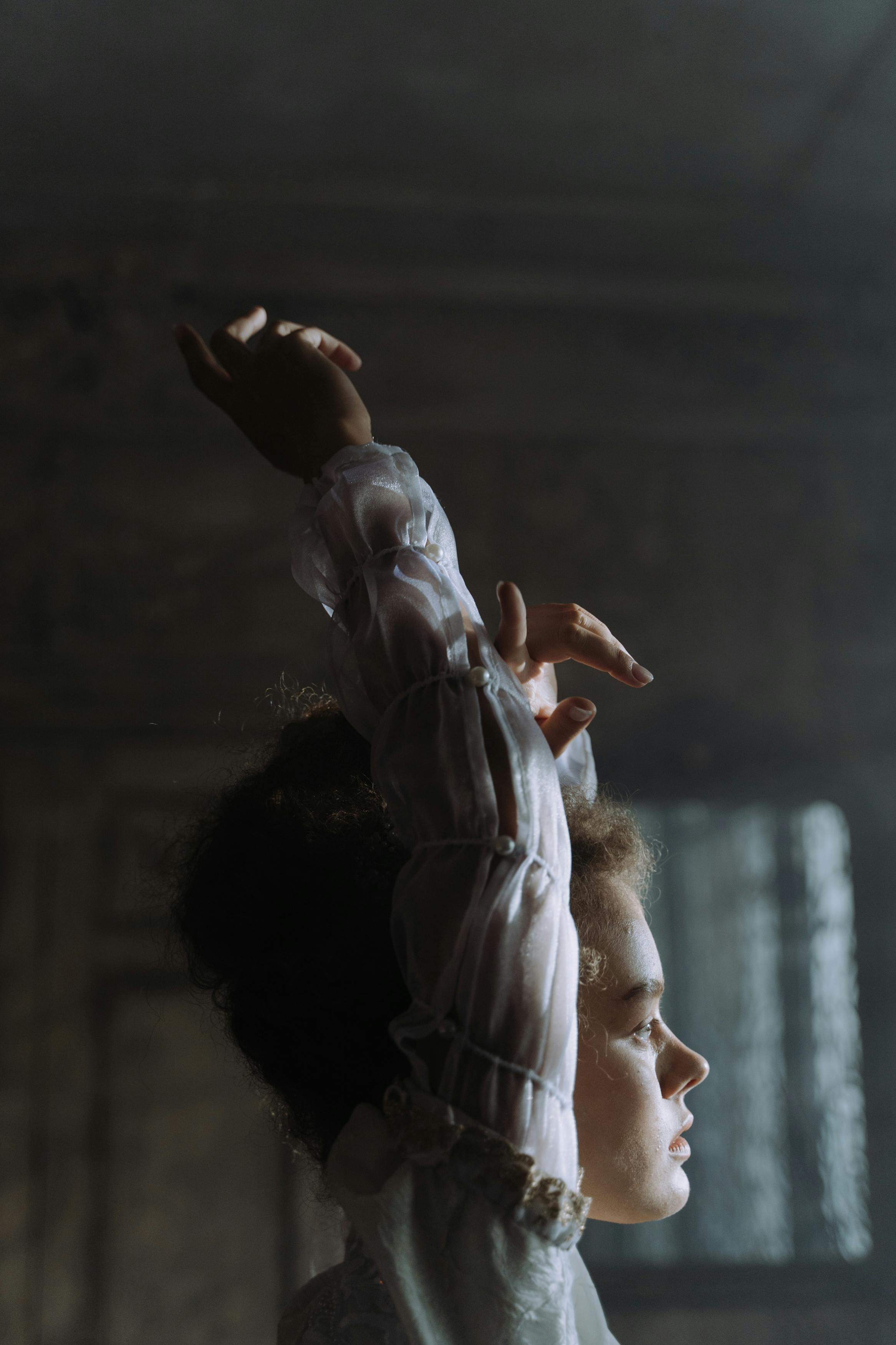 HUSSARS 462 Photos & Videos Collected by cottonbro studio