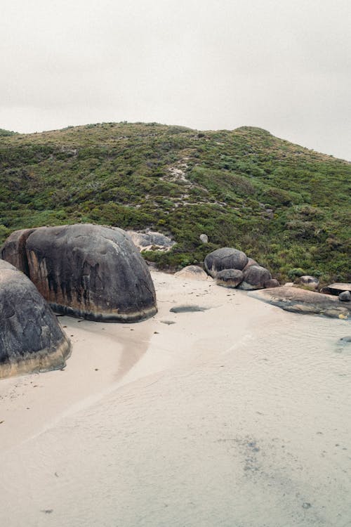 Free Rocky Seashore Near the Hill Stock Photo