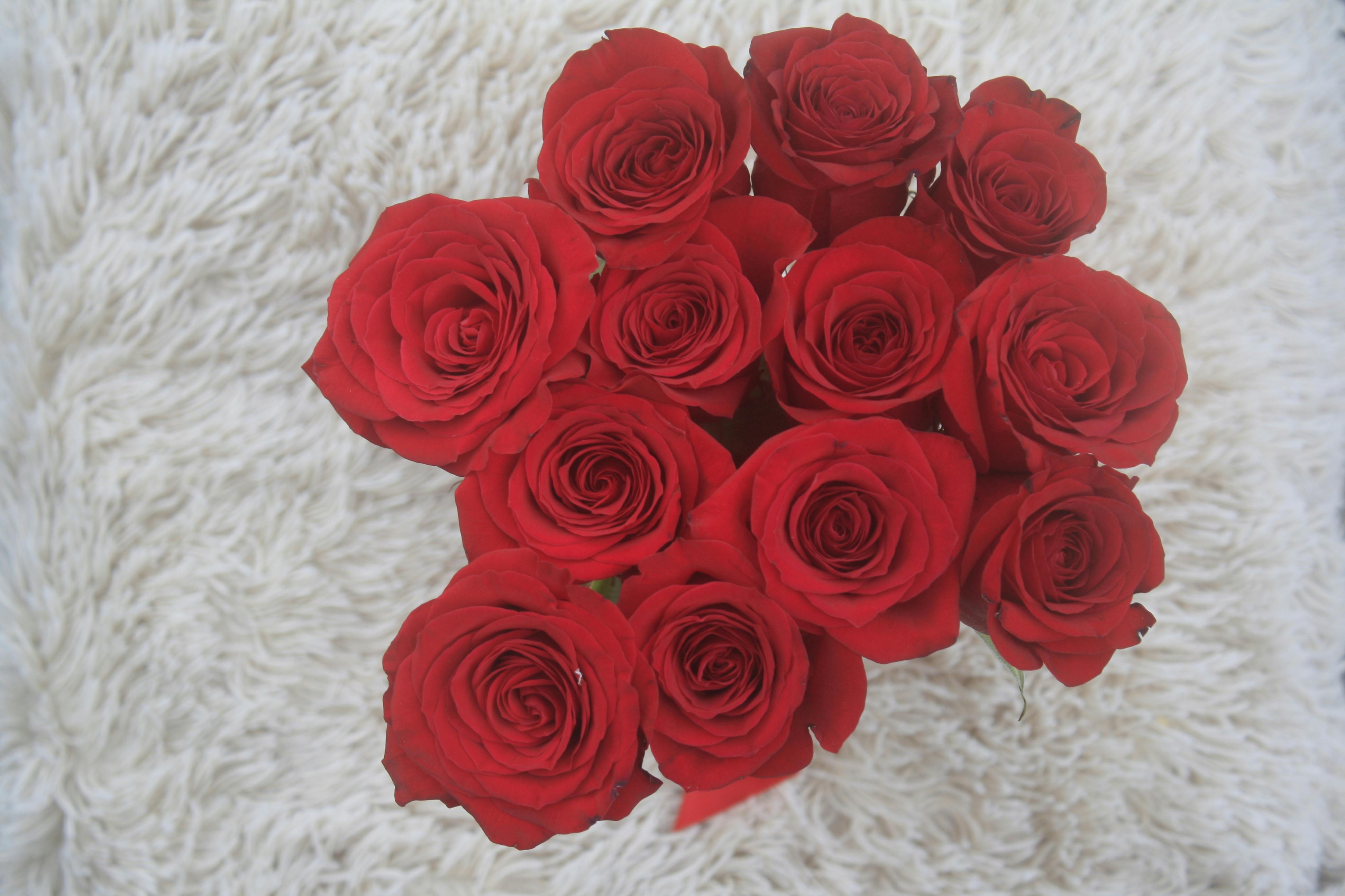 Foto Stok Gratis Tentang Buket Bunga Bunga Hari Valentine