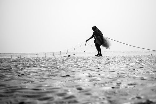 Free A traditional fisherwoman in Orissa, India, casting a net on a sandy beach. Stock Photo