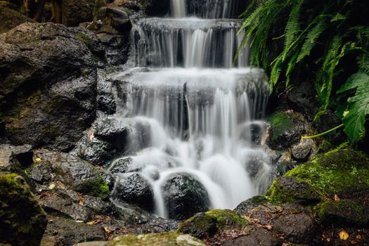 Beautiful waterfall cascading over rocks surrounded by lush vegetation in East Melbourne, Australia.