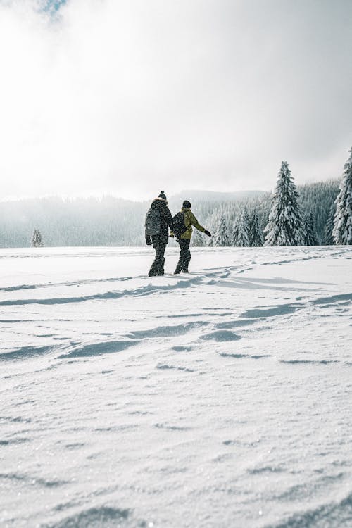 Two People Walking on Snow 