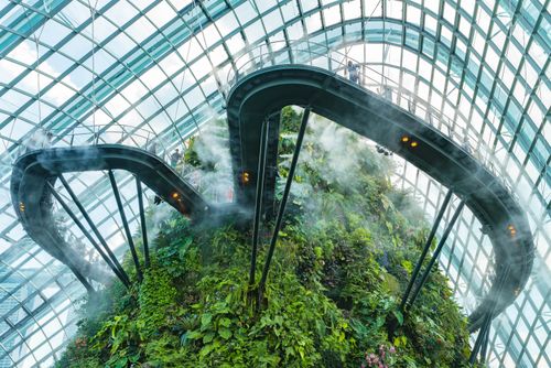 Free Stunning view of the Cloud Forest indoor garden in Singapore showcasing lush greenery and modern architecture. Stock Photo