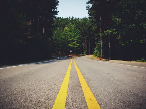 A symmetrical forest road with a yellow line dividing two curves surrounded by trees.