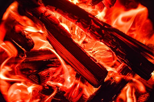 Free Burning Woods in Close Up Photography Stock Photo