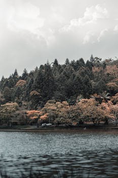 宁静的秋季景观以静谧的湖泊、森林和壮观的云层为特色