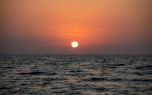 Free A tranquil ocean scene at sunset with a clear sky and birds flying over the water. Stock Photo