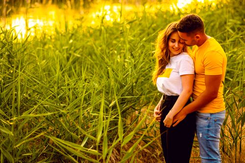 Free A romantic couple embraces in a sunlit field of reeds and tall grass, exuding warmth. Stock Photo