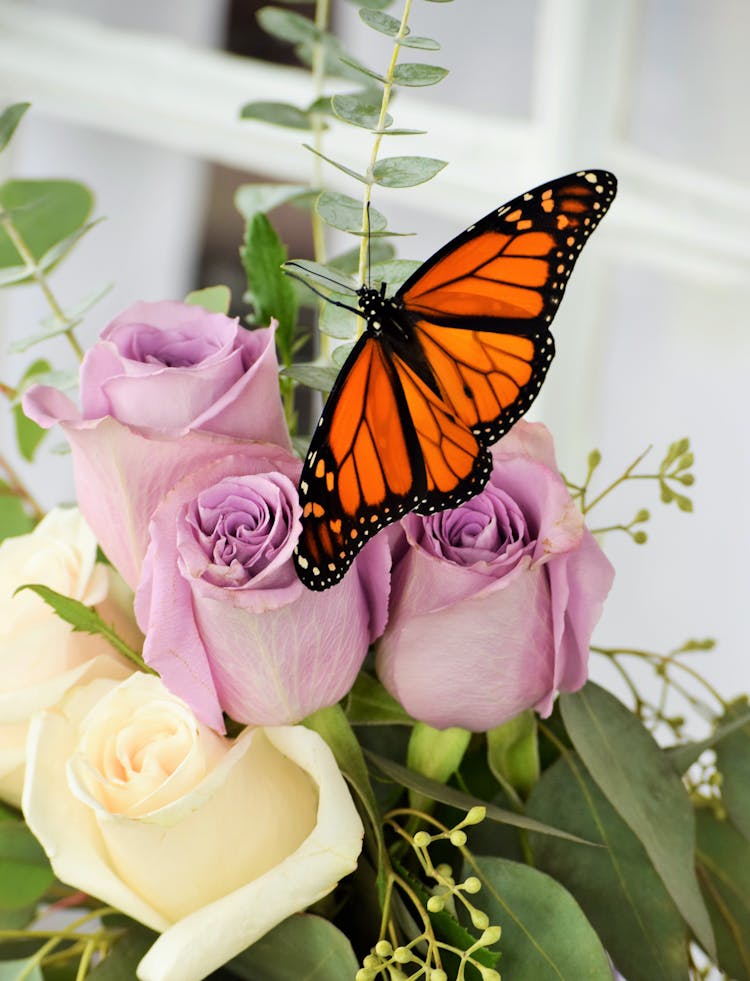 Butterfly Perching On A Rose Bouquet