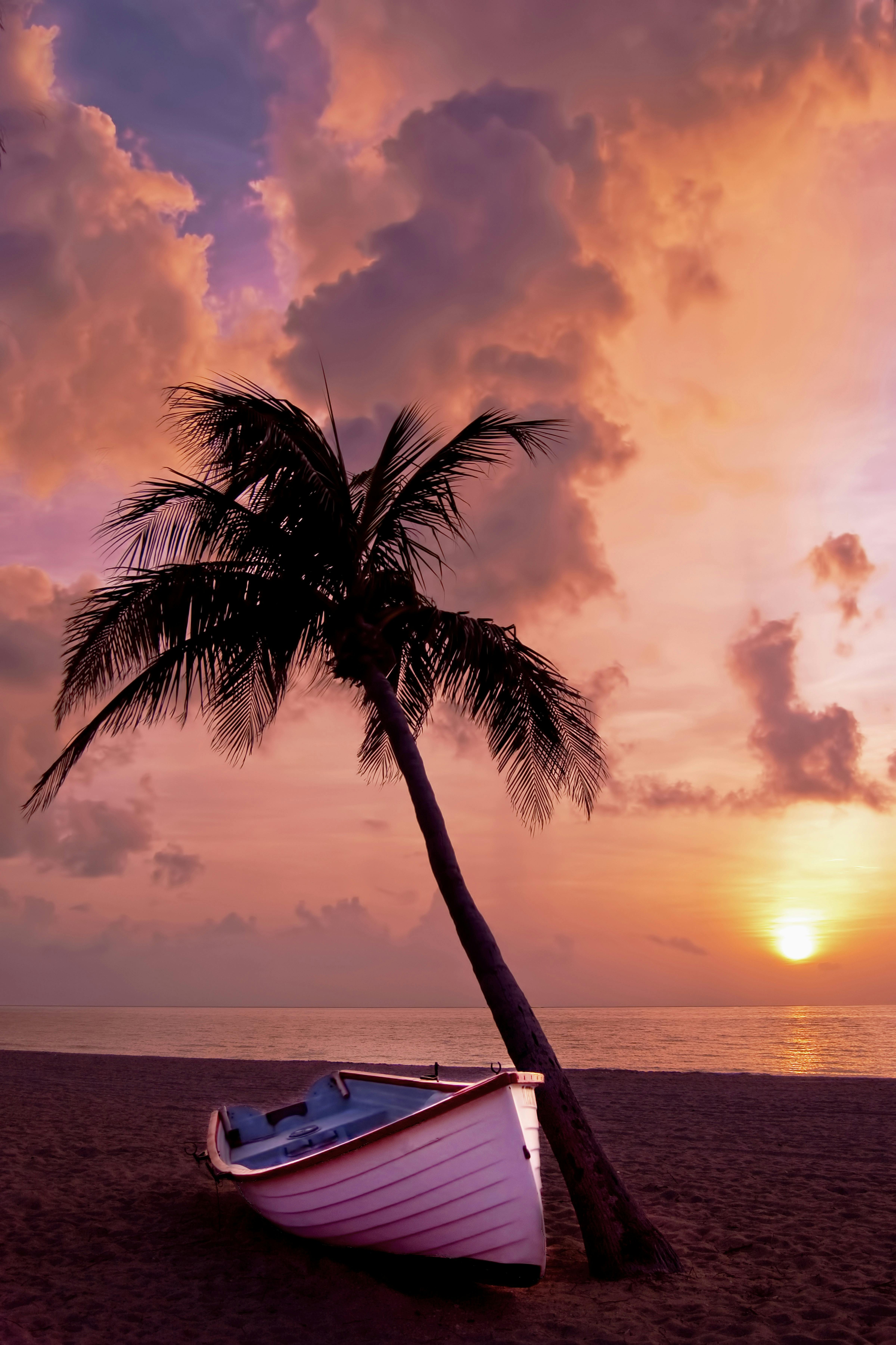 Beach Sunrise Photos, Download The BEST Free Beach Sunrise Stock Photos &  HD Images