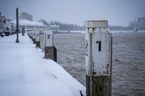 Бесплатное стоковое фото с вода, лед, маас