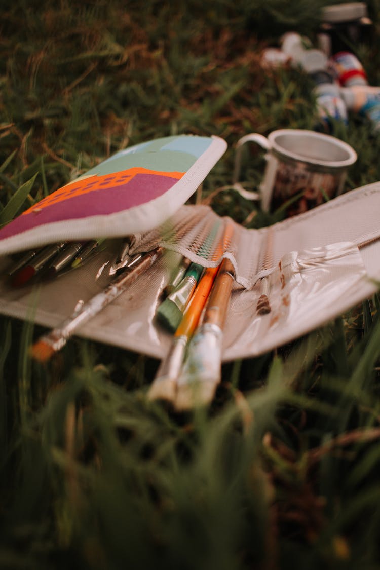 Paintbrushes In A Case Lying On Grass