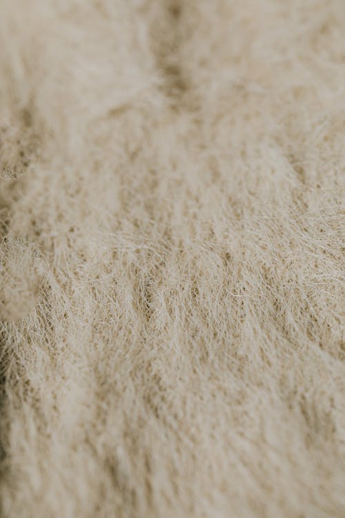 Close-up of a Furry Texture