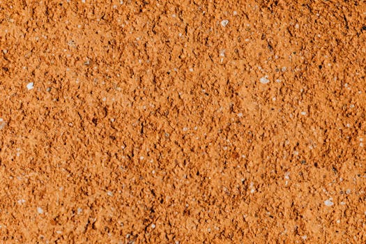 Detailed close-up of a rough, textured orange surface perfect for backgrounds or wallpapers.