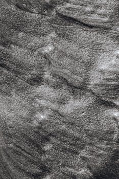 Image by Karolina Grabowska www.kaboompics.com