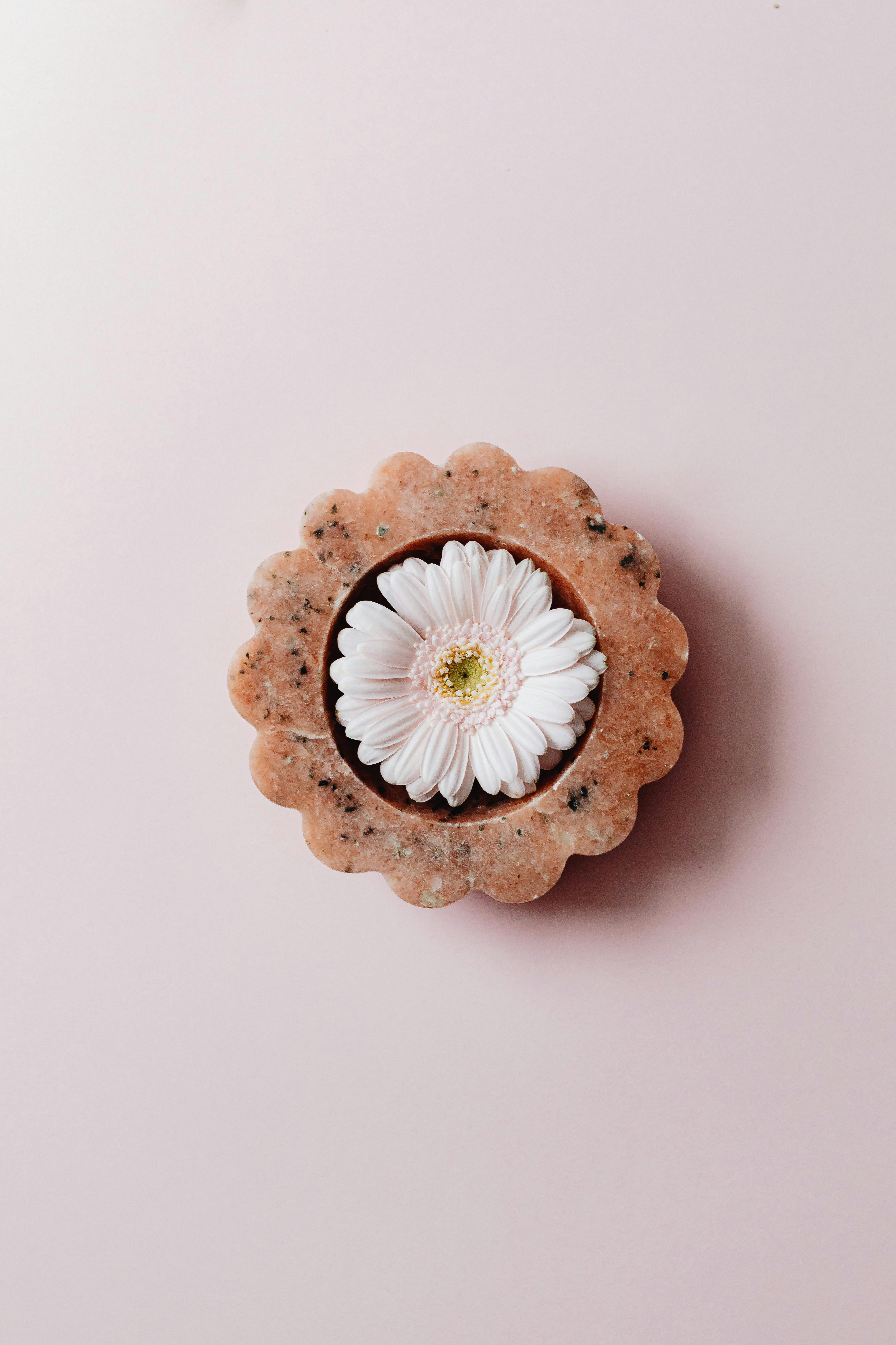 A top view of a white daisy resting on a pink soap bar, against a soft pink background.