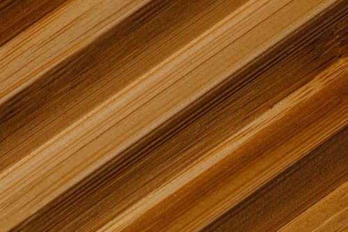 Close up of Wood Surface