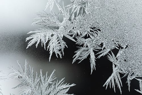 Бесплатное стоковое фото с зима, крупный план, мороз