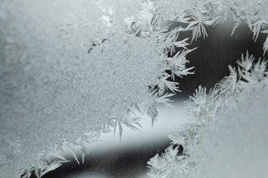 Detailed macro photograph of intricate snowflakes on a frosted surface, showcasing winter's beauty.