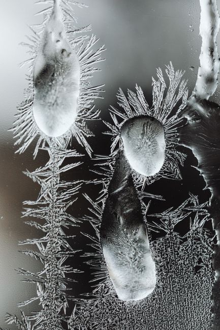 Detailed close-up of intricate frost formations on a glass surface during winter.