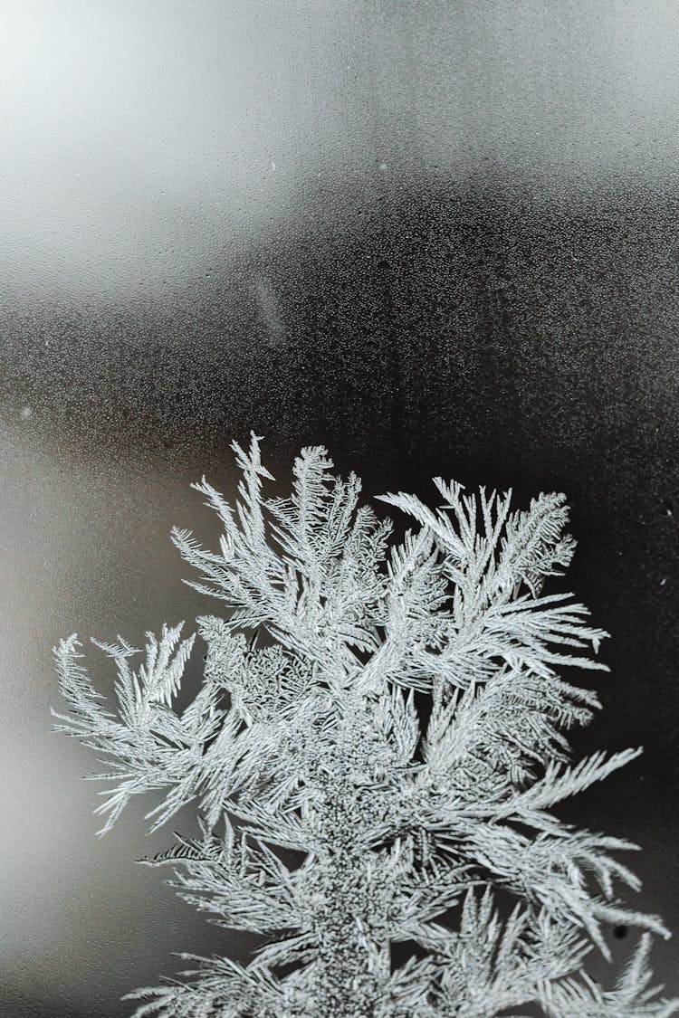 Frost On Blurry Glass