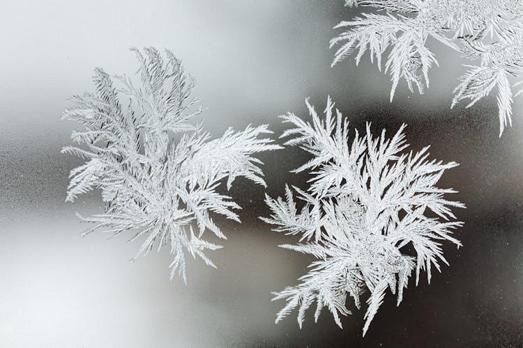 Frost On The Glass Surface