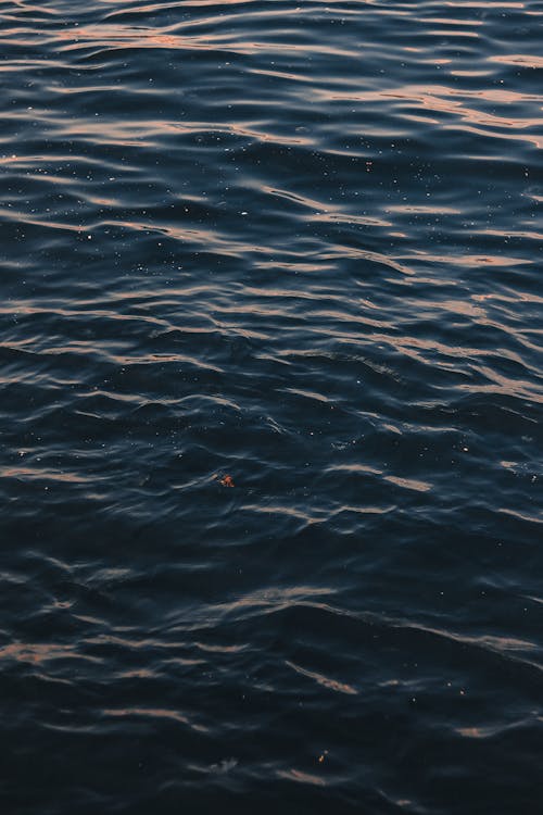 Close-Up Shot of a Calm Sea