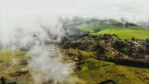 Foto profissional grátis de acordo, aéreo, agricultura