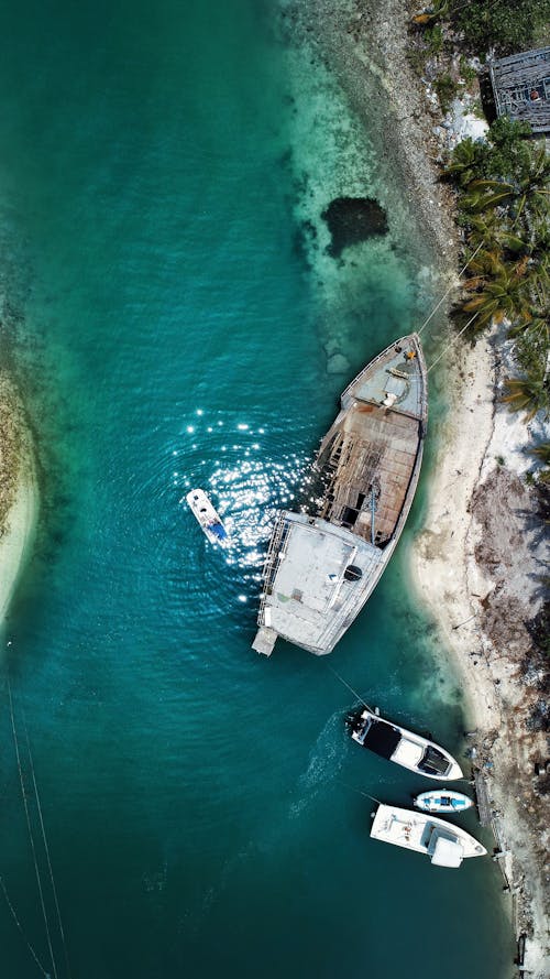 Δωρεάν στοκ φωτογραφιών με aqua, ακτή, αράζω