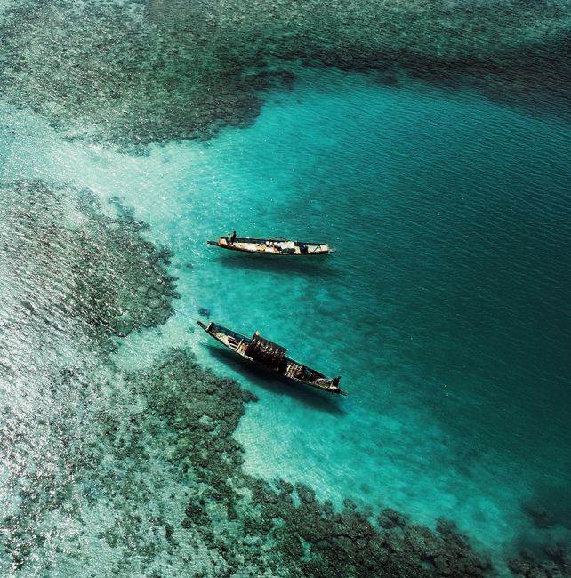 Aerial view of nautical transport on turquoise transparent sea surface with green seaweed on sunny day