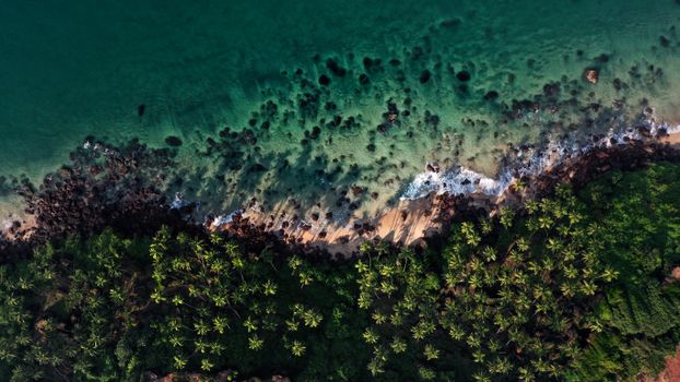 Drone view of green tropical plants growing on sandy beach near wavy ocean