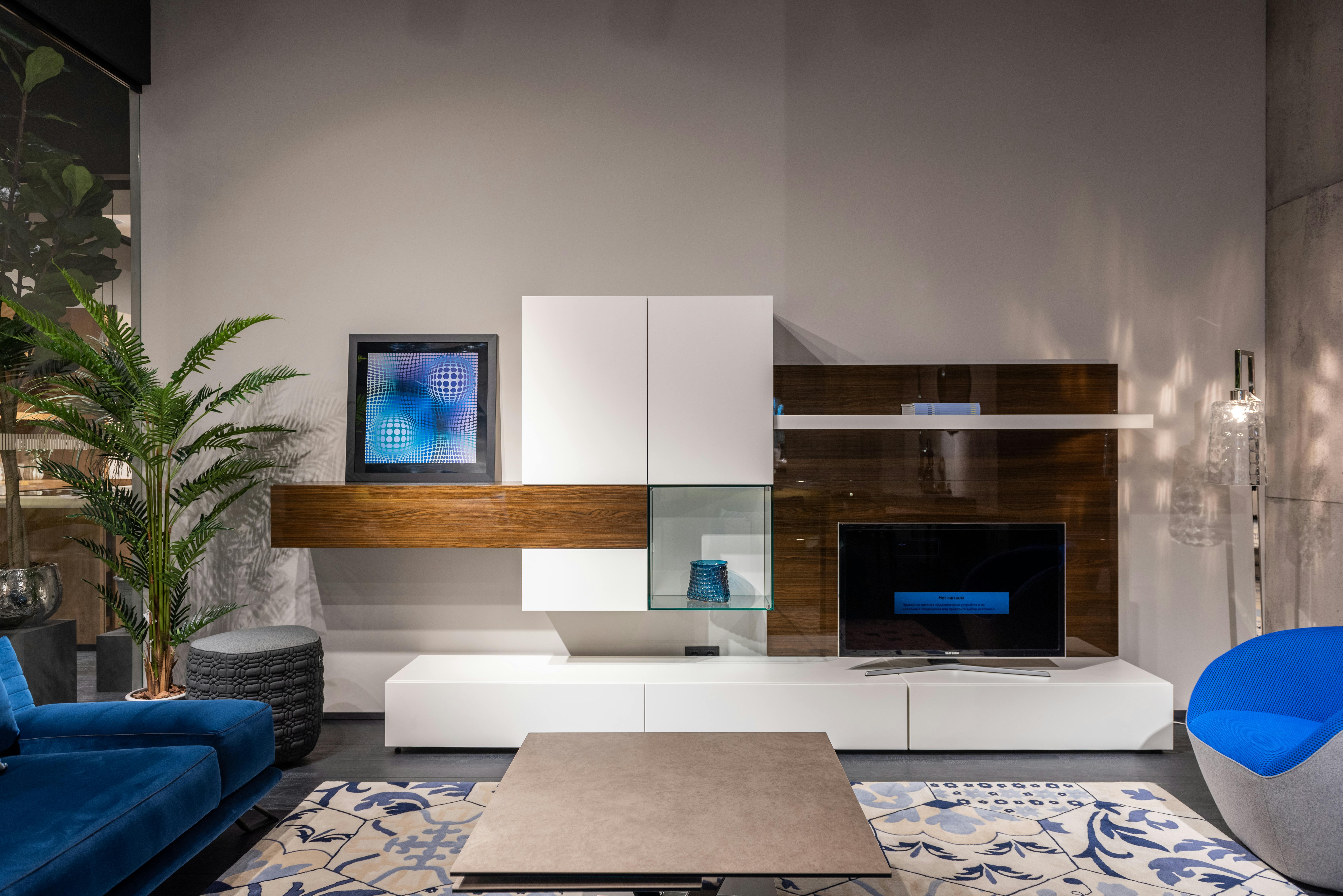 modern interior of spacious living room decorated with green plant and framed picture