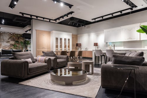 Elegant furniture and sofas in modern store