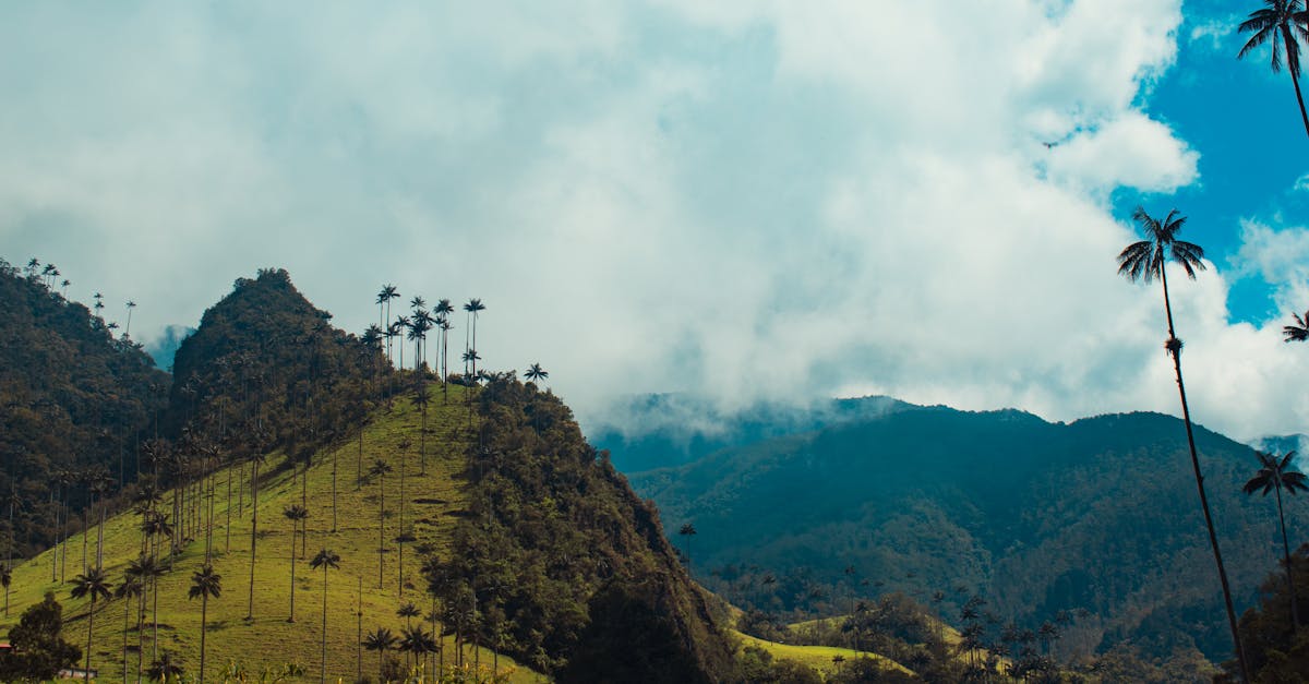 Les Tendances Voyage en France en 2026