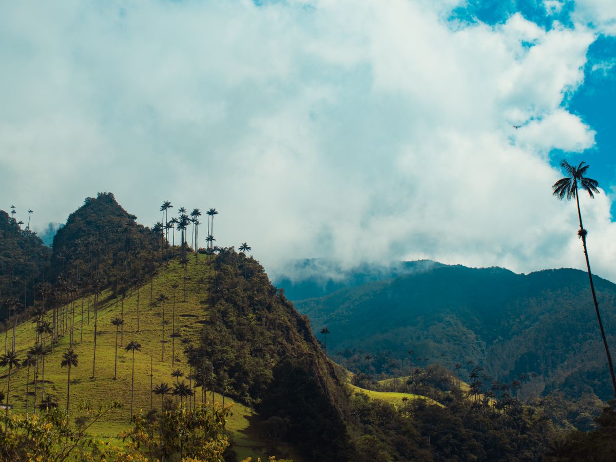 26 Day 200 HR Hatha & Vinyasa Yoga TTC in Sasaima, Colombia 2