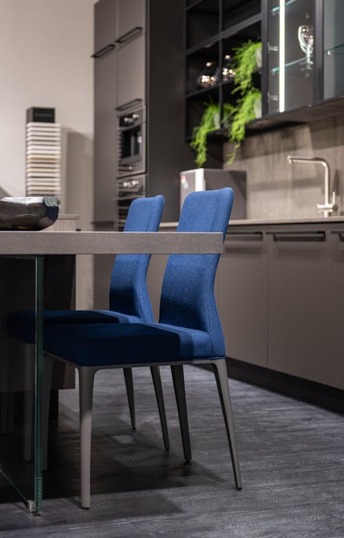 Blue chairs placed at table in kitchen with gray cupboards and modern appliances decorated with green plants in stylish apartment