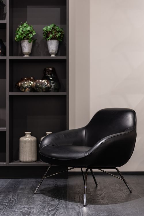 Free Leather comfortable armchair placed near wall with potted flowers and decorations on black shelves in stylish room of modern office Stock Photo