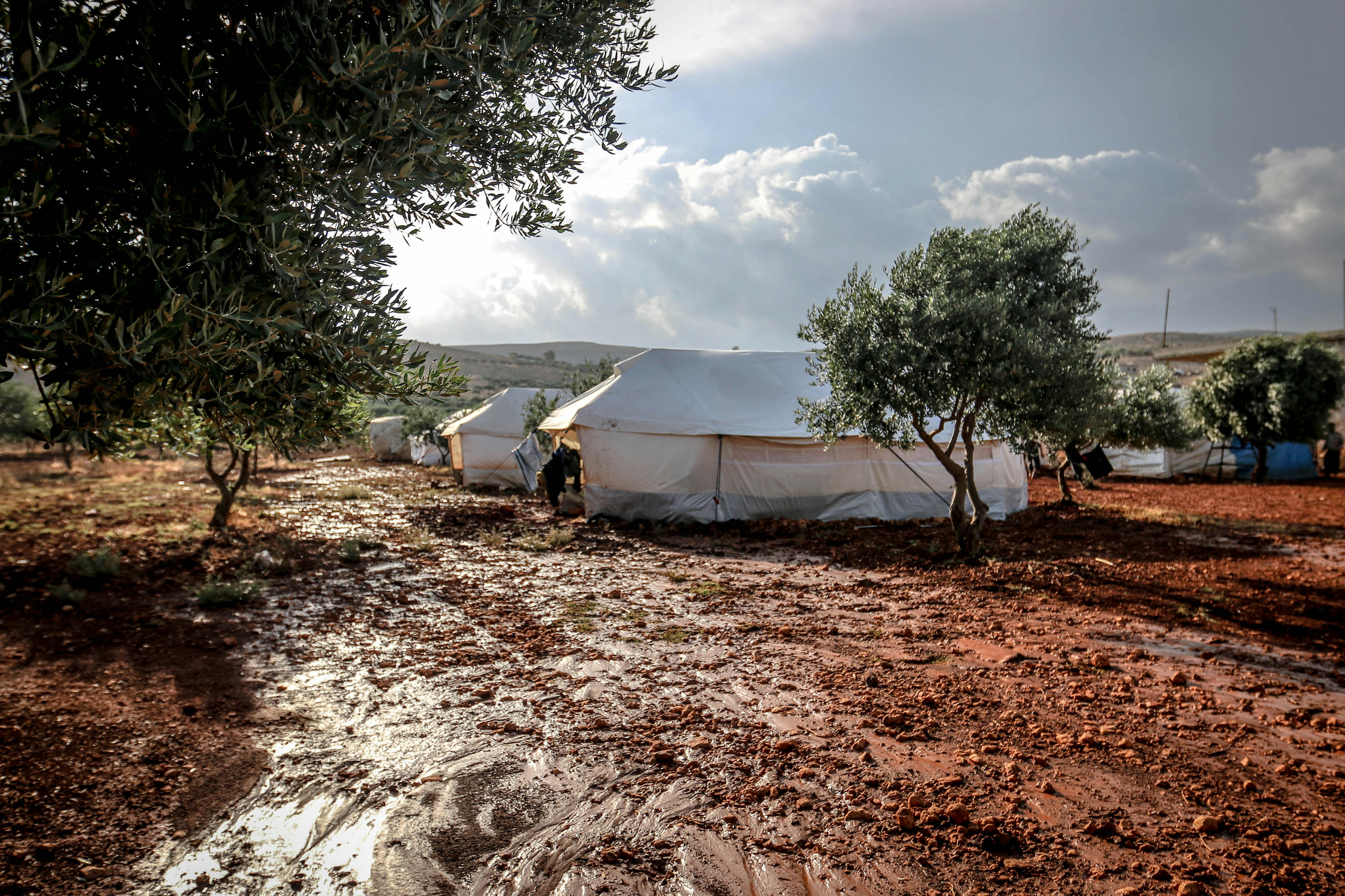 Tents stand on muddy ground between small trees under a cloudy sky in a rural camp setting.