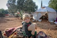 Little girl with toy looking away while sitting on plaids on ground near weathered shelters in refugee camp with personal belongings