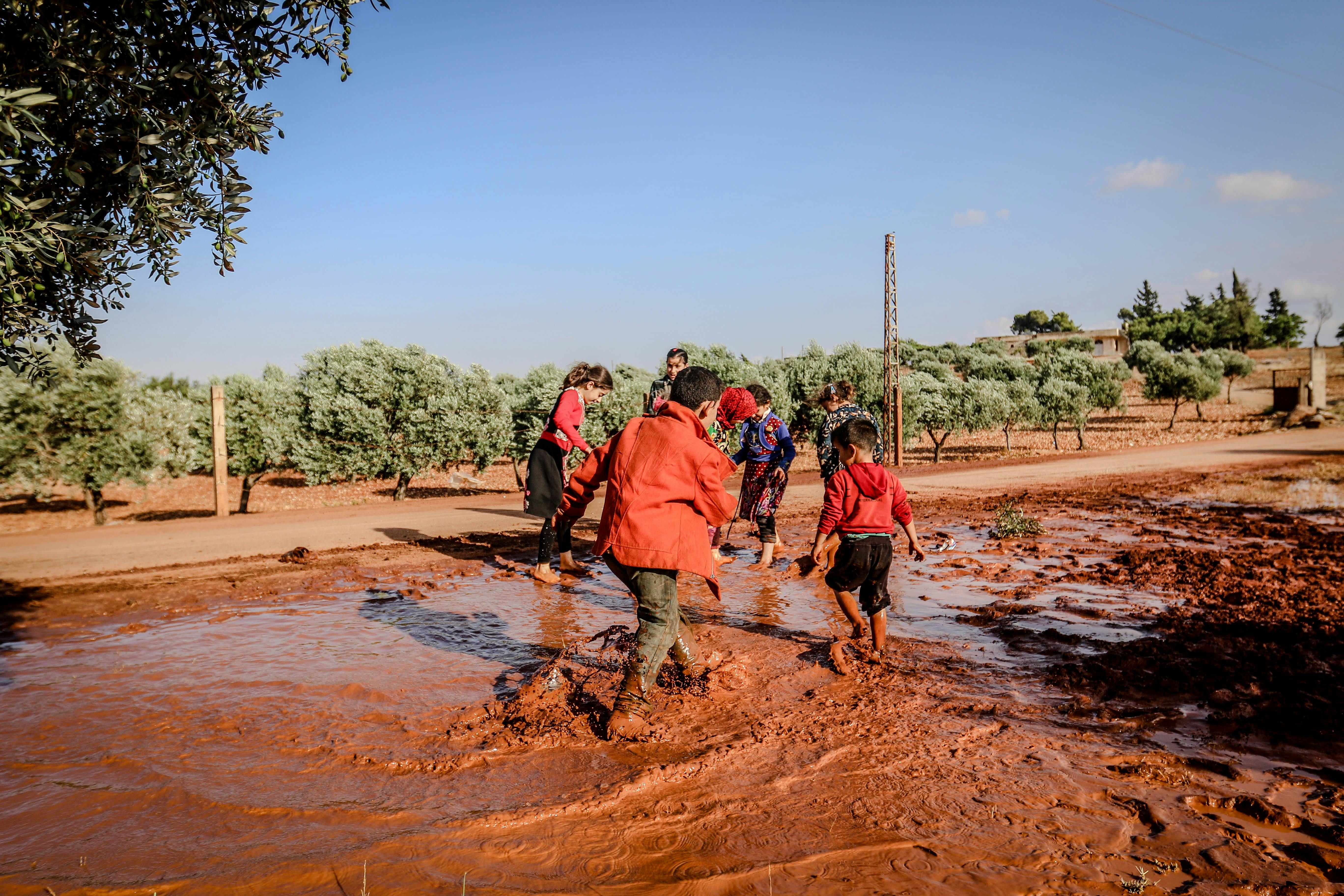 Incorporating Sustainable Practices in San Diego​ Landscaping