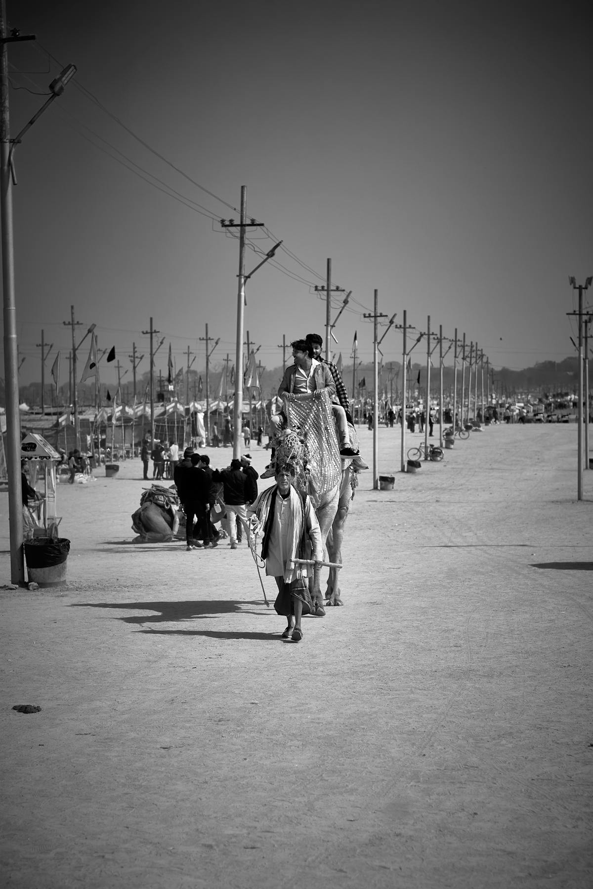 Calm neutral quiet luxury living room with soft sofa, textured rug, and warm lighting