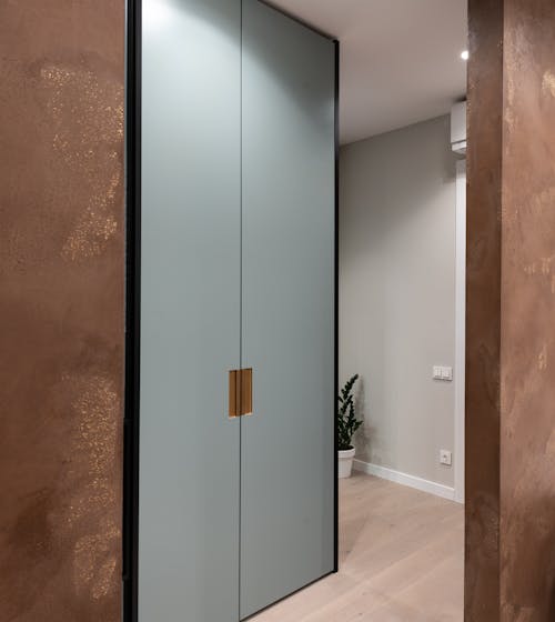 Modern apartment interior with big closet placed in hall near walls and potted green plant