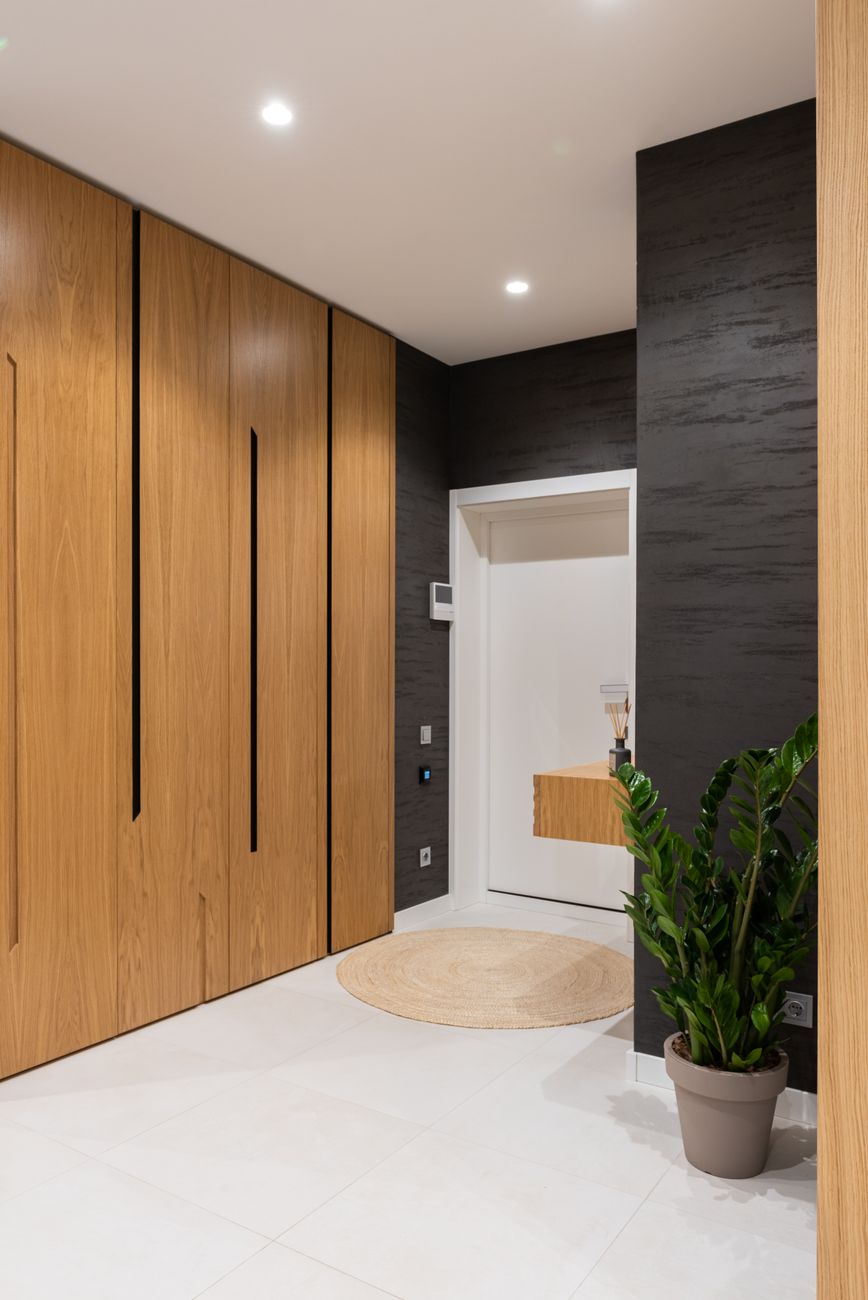 Modern bright house interior with big closet placed in corridor near potted green plant and door