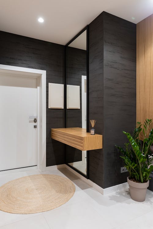 Corridor interior with potted plant and mirror near door